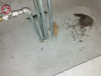 宁武卫生间测漏水价格明细